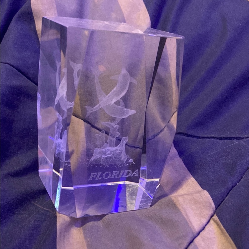 Clear Crystal Florida Souvenir